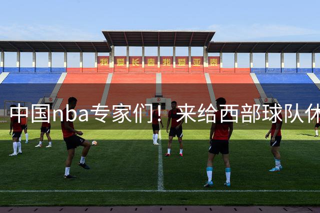 中国nba专家们！来给西部球队休赛期操作打打分！