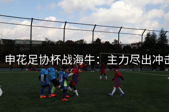申花足协杯战海牛：主力尽出冲击八强