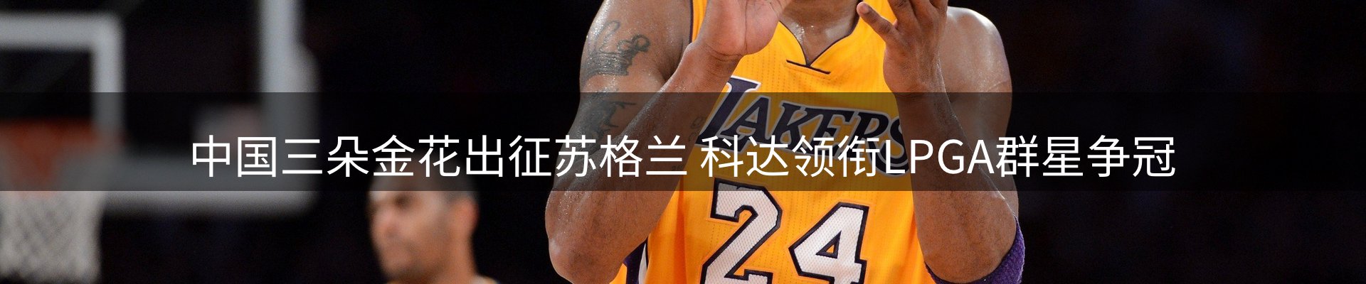 公司观察