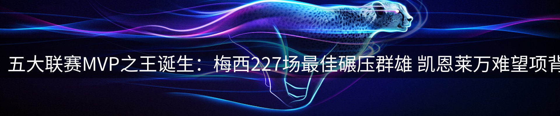 公司观察