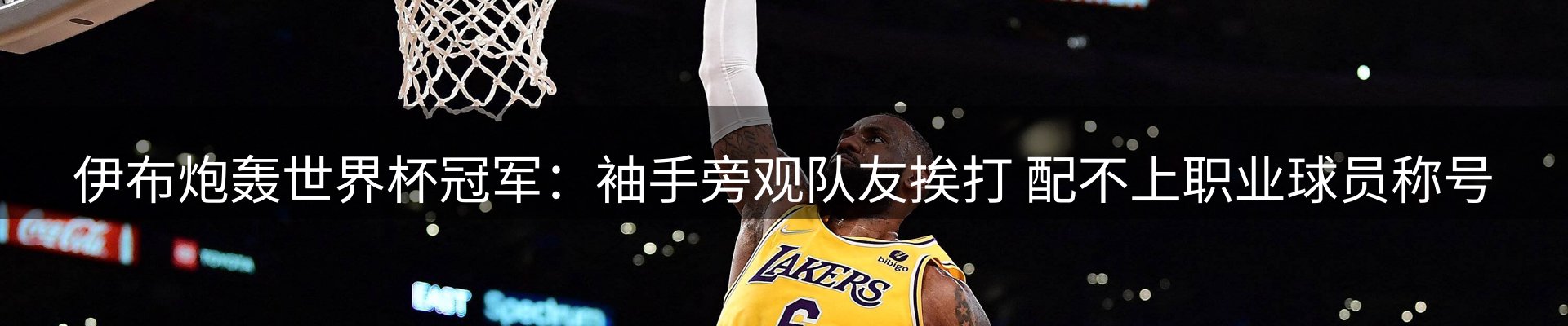 公司观察