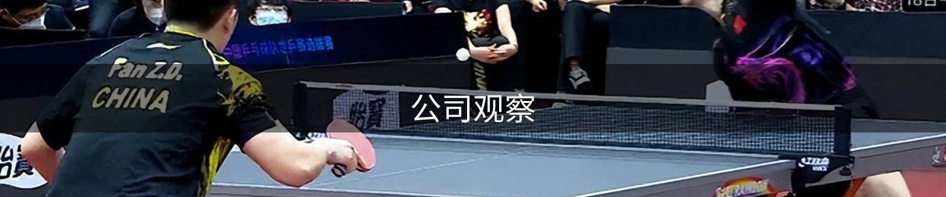 公司观察
