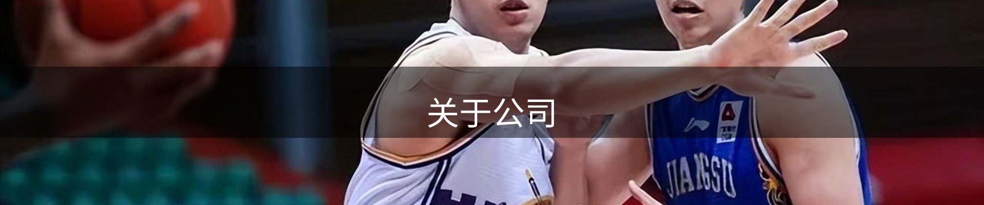 关于公司