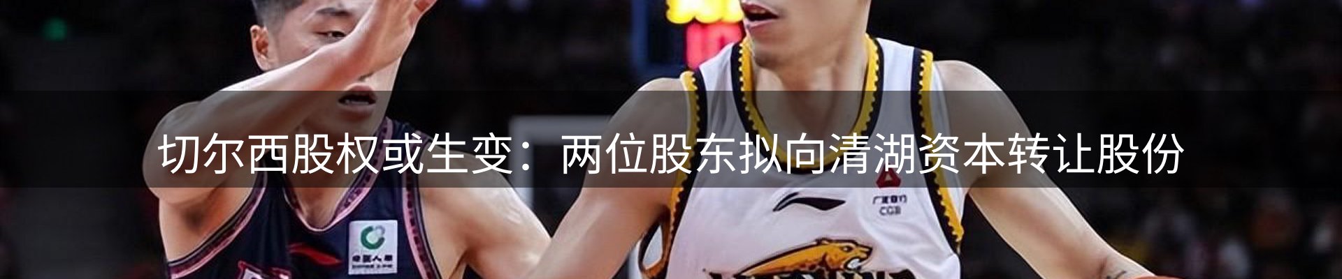 公司观察