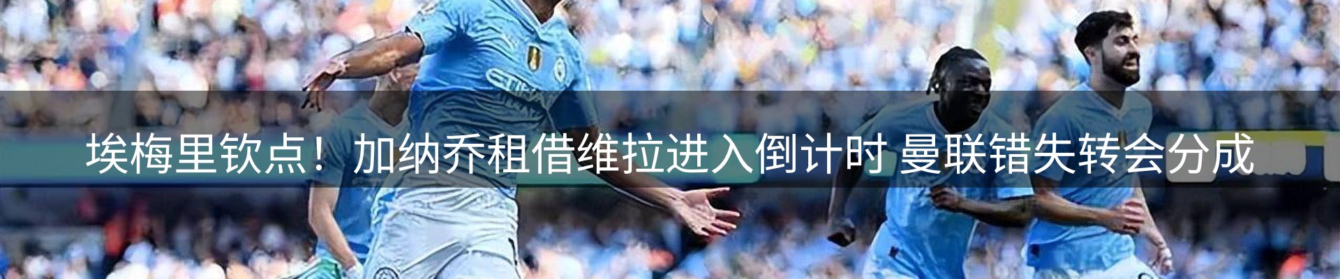 公司观察