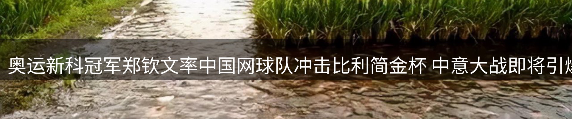 公司观察