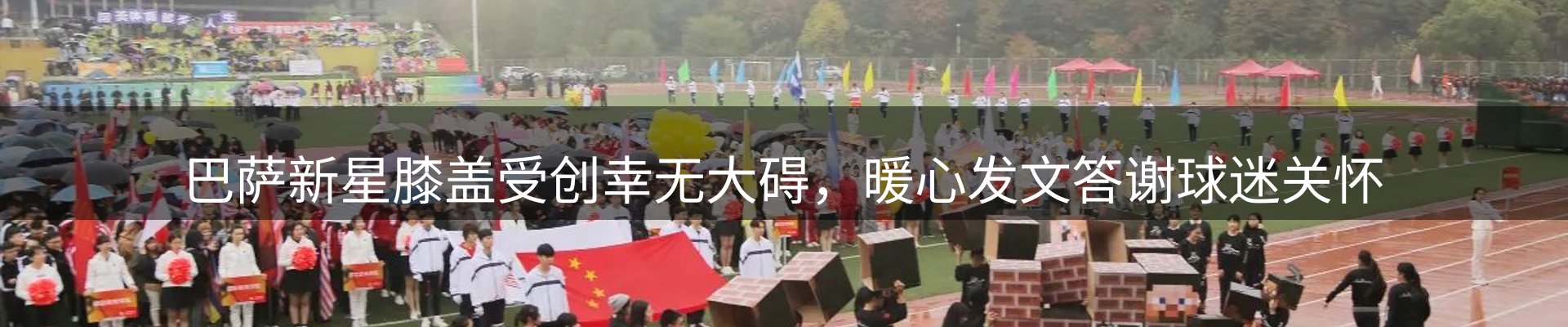 公司观察