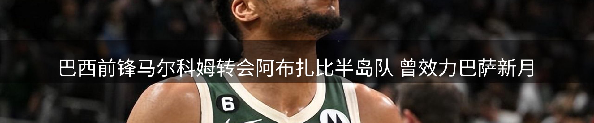 公司观察