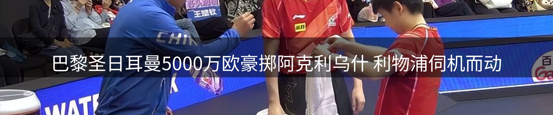 公司观察