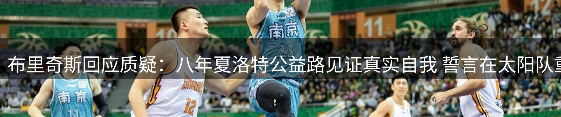 公司观察
