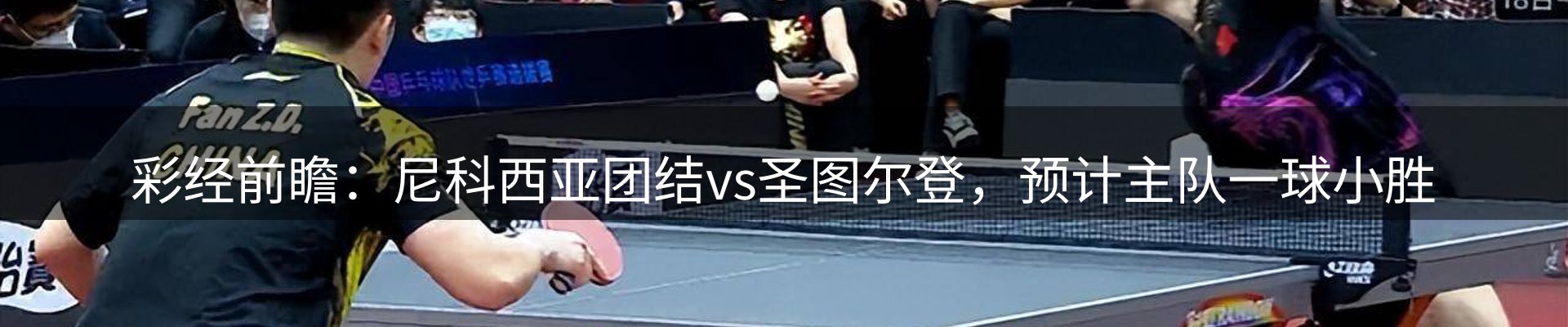 公司观察
