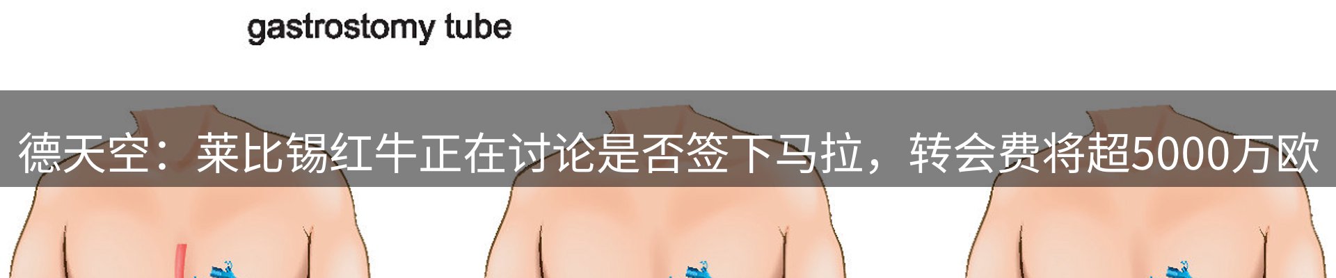 公司观察