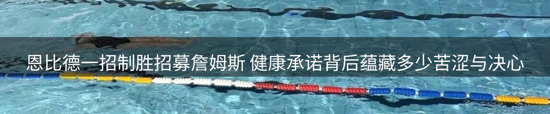 公司观察