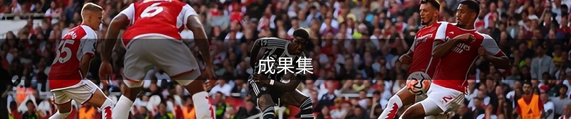成果集