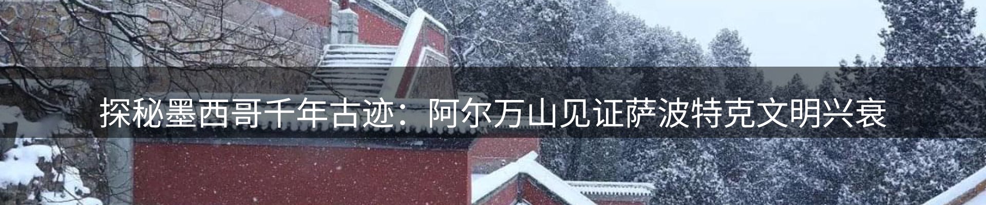 公司观察