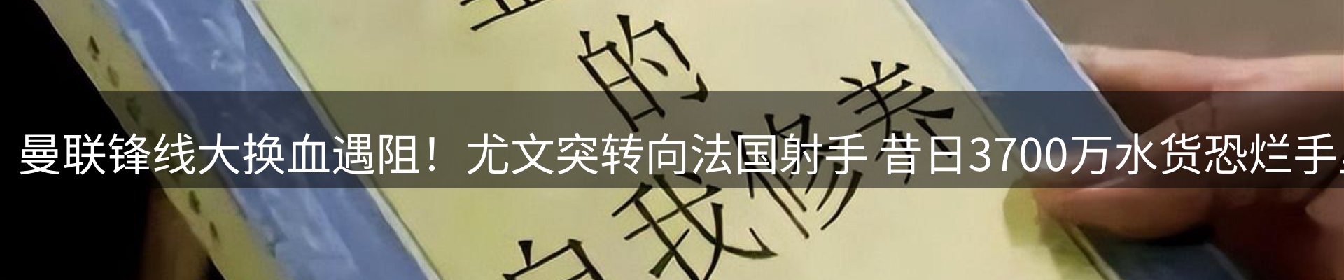 公司观察