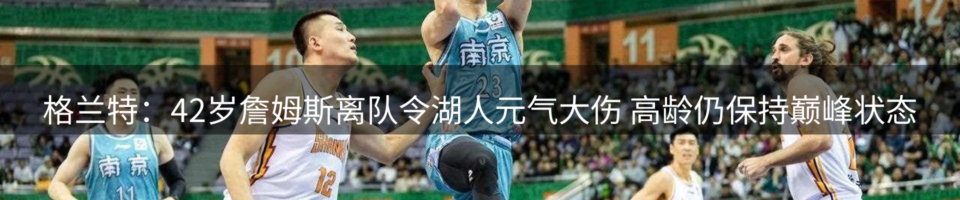 公司观察