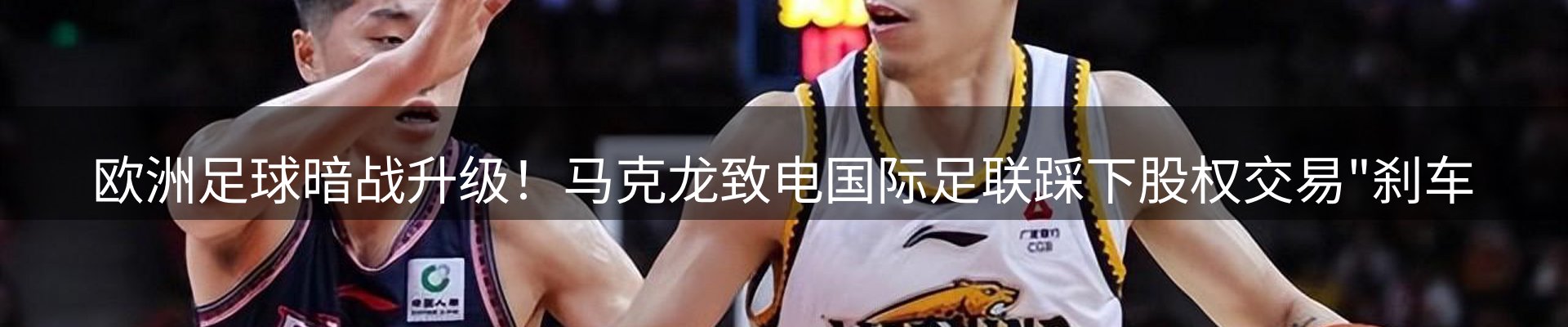 公司观察