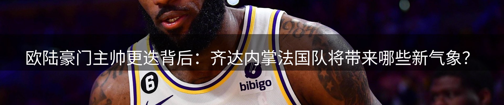 公司观察