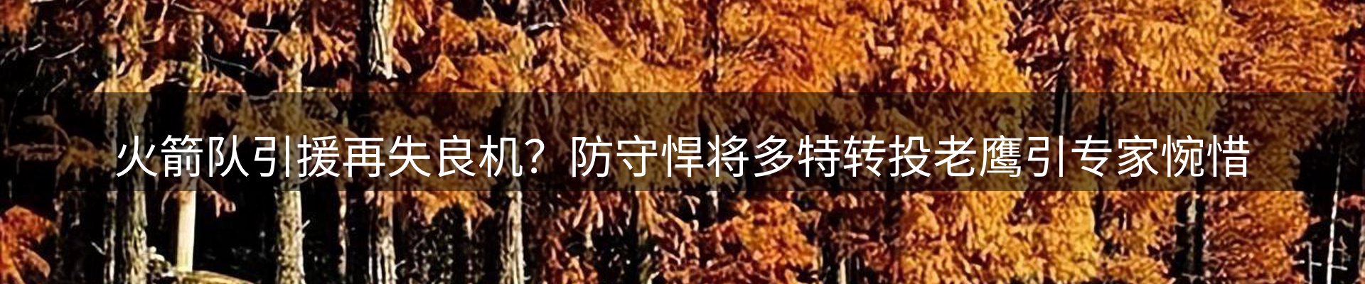 公司观察