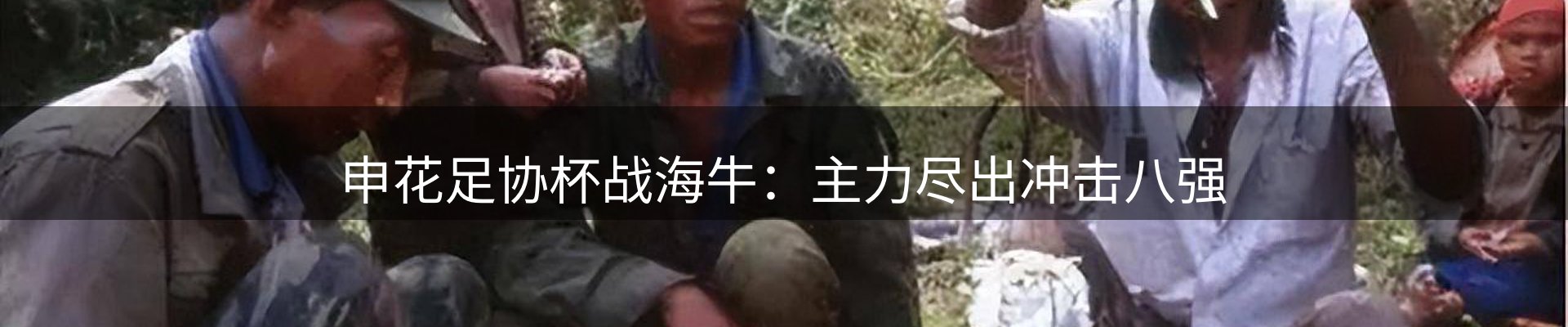 公司观察