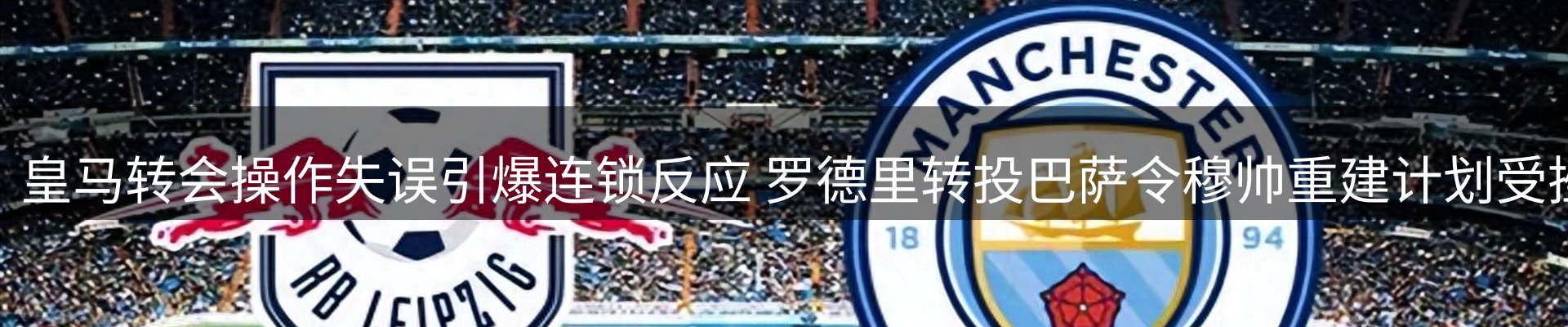 公司观察