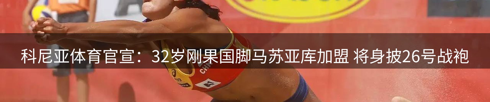 公司观察