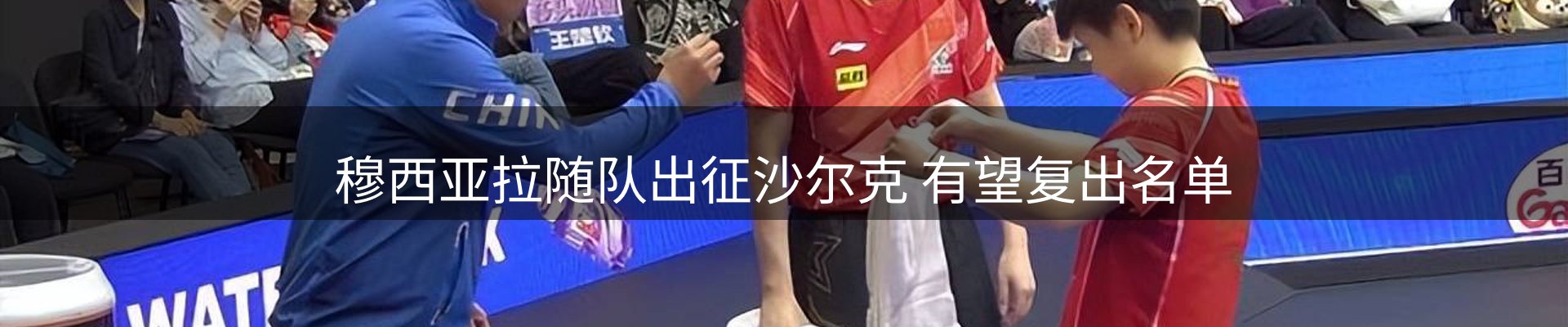 公司观察