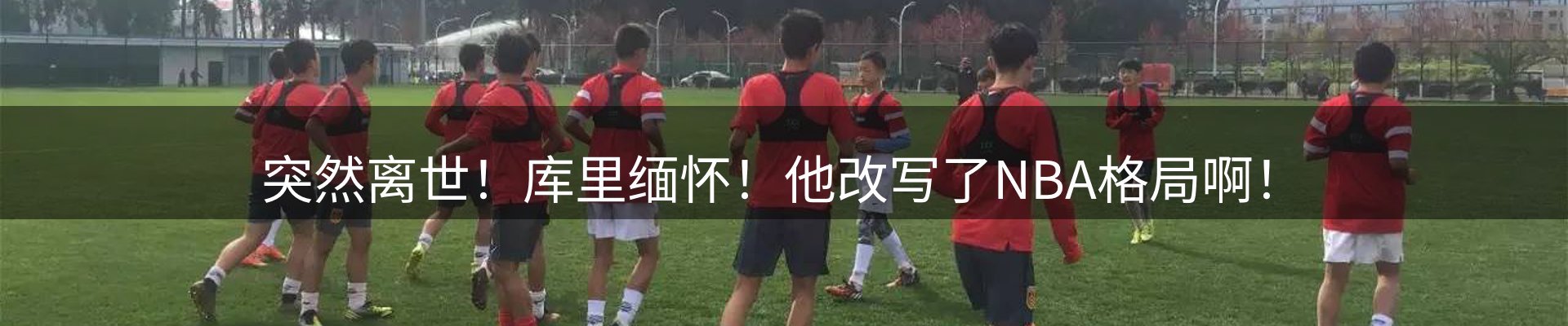 公司观察