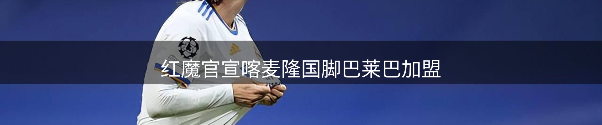 公司观察