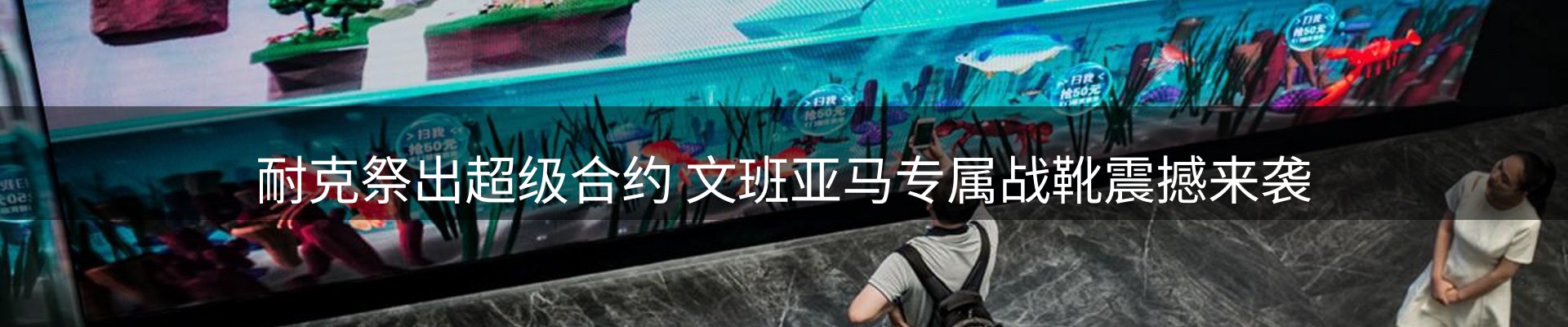 公司观察