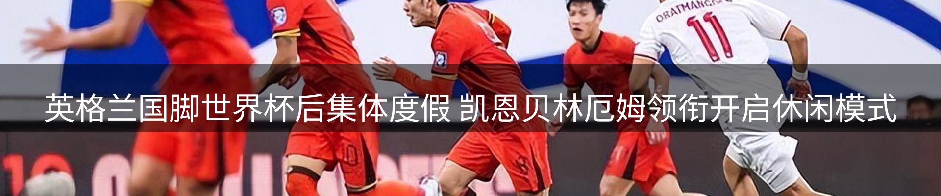 公司观察