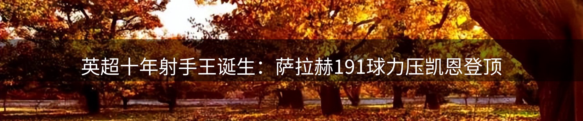 公司观察