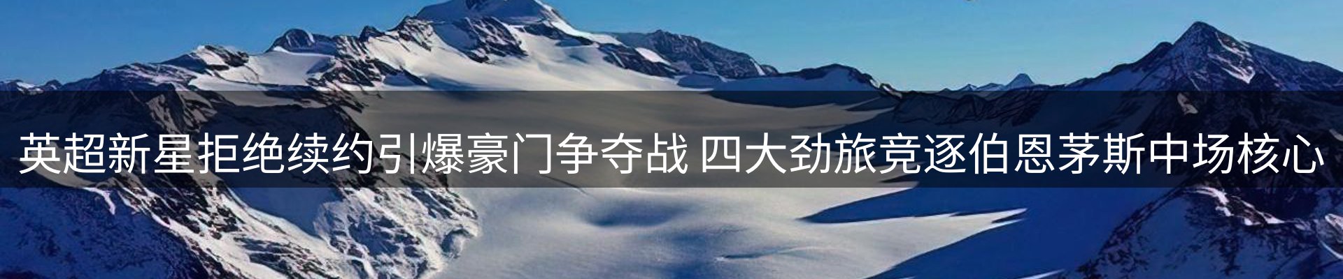 公司观察