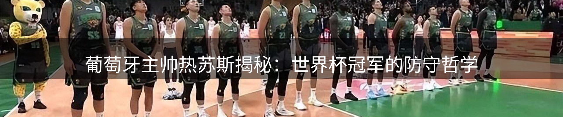 公司观察