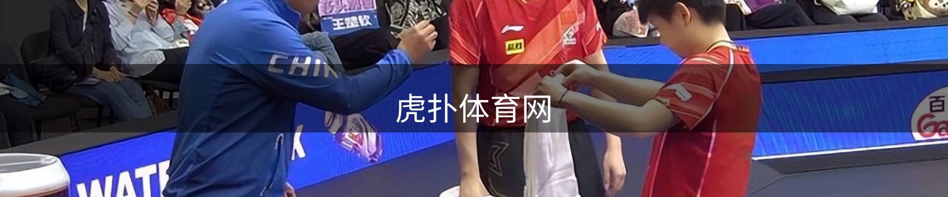 公司观察