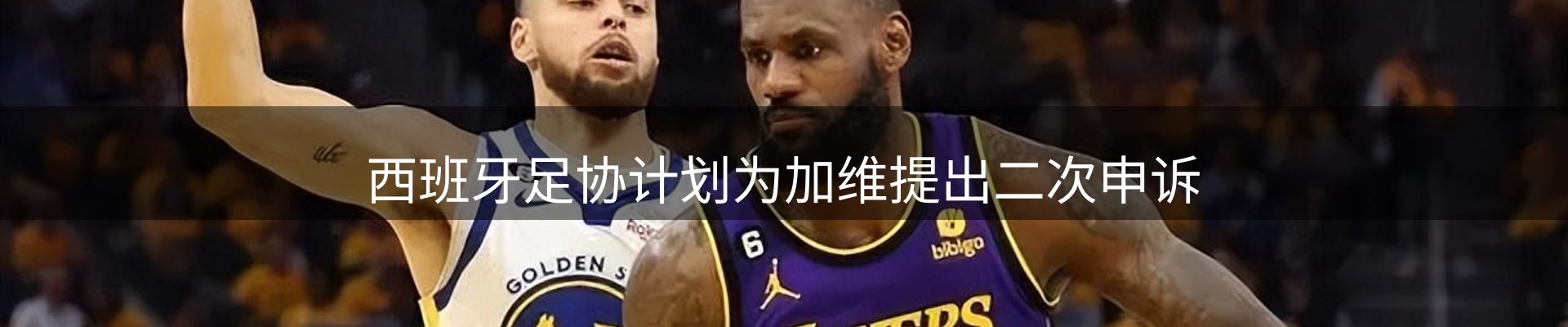 公司观察