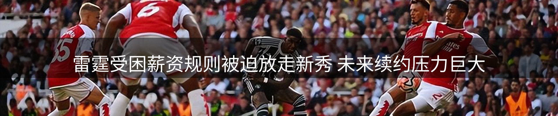 公司观察