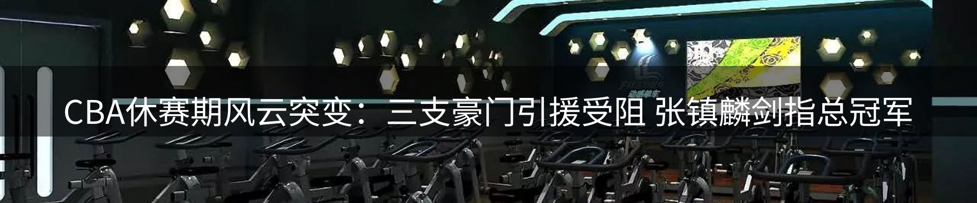 公司观察