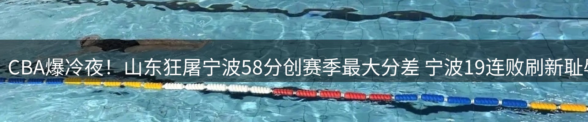 公司观察