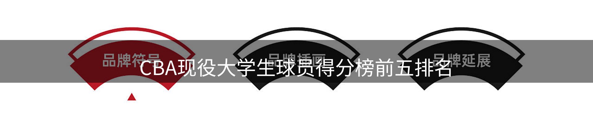 公司观察