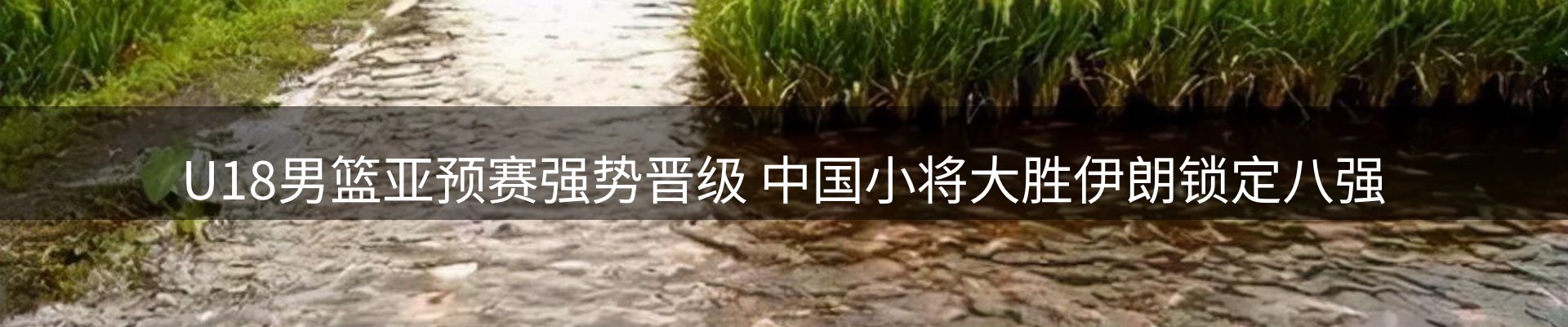 公司观察