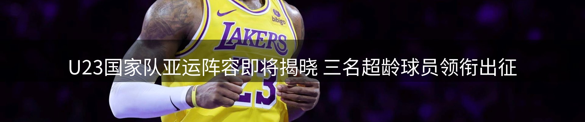 公司观察